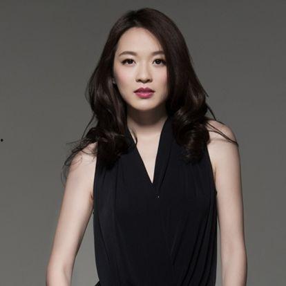 澳门刘玉珍个人资料,跨越时代的风采与贡献