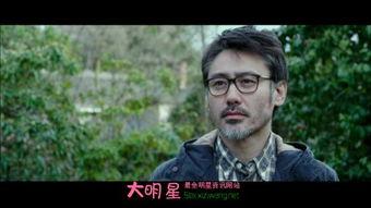 宋美曼 宋美慧资料,姐妹花的风华与传奇