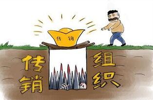 传销背景