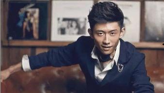 巨星受娱乐圈,娱乐圈的璀璨星辰