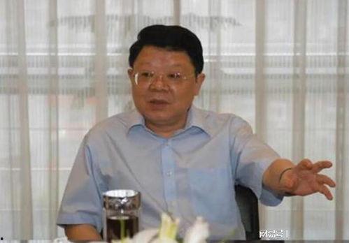 文强背景,从警界精英到阶下囚的蜕变之路