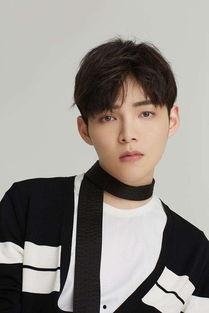 朱星杰娱乐,娱乐界的璀璨星辰，闪耀舞台的青春风采