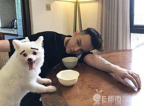 小猪ricky个人资料