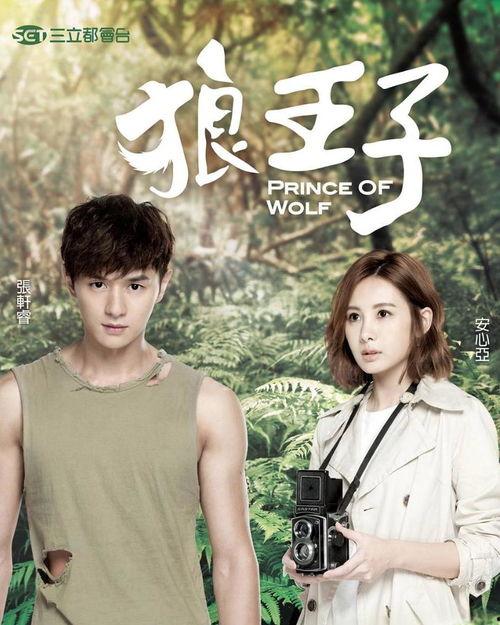 狼王子演员表,星光熠熠的演员阵容揭秘