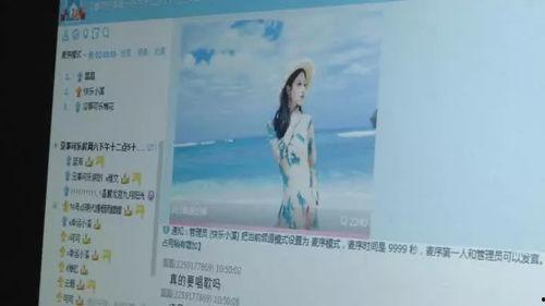 重生之网红凤凰,凤凰涅槃，再创辉煌之路